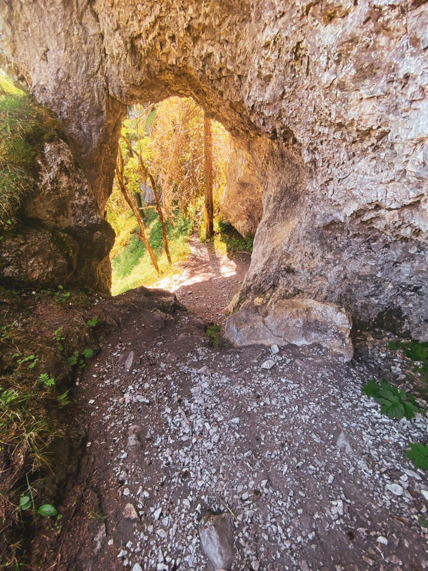 Apartmany Limba Demanovska Dolina Luaran gambar